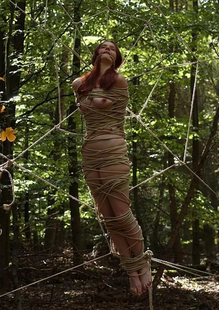 that took commitment