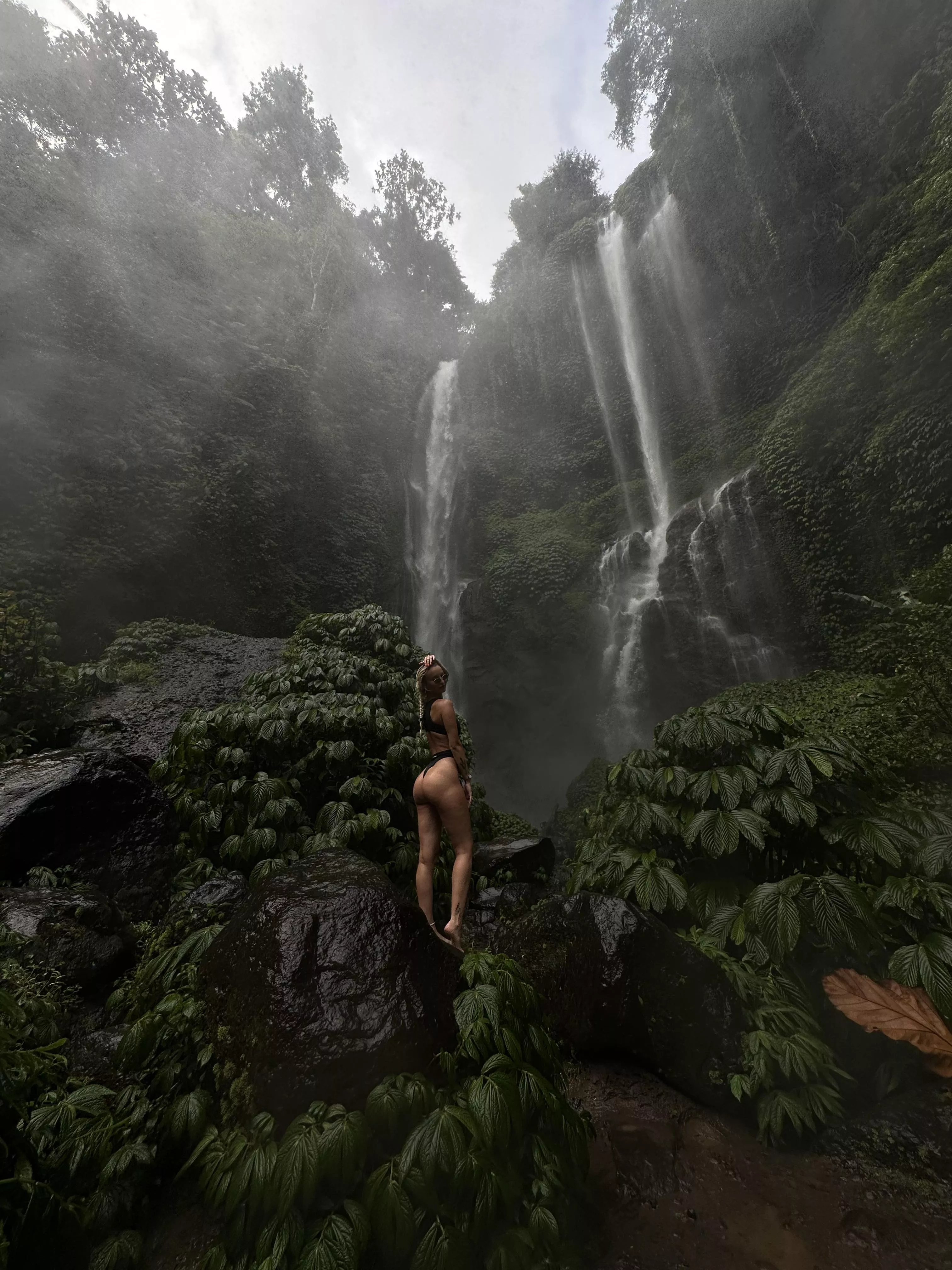 The two of us will be in the tropical forest