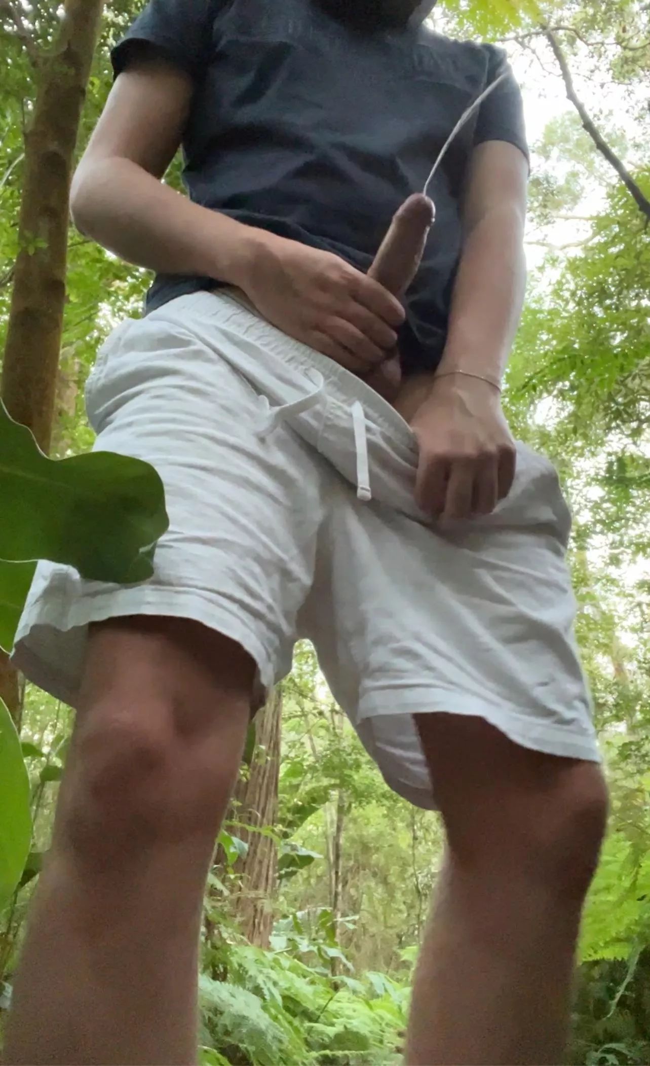 A bush walk piss