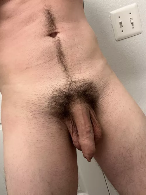 Been a while. Thoughts?