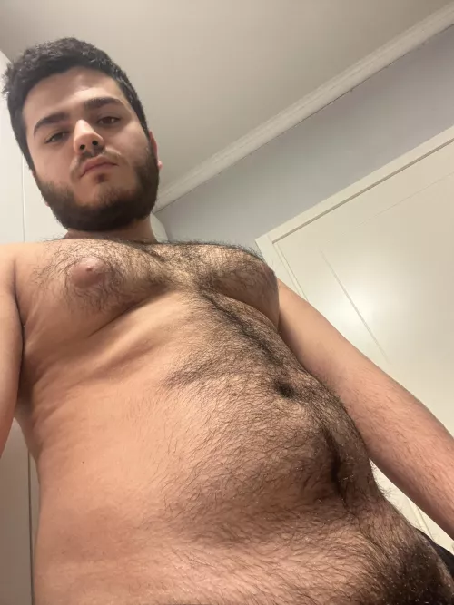 Hairy cub