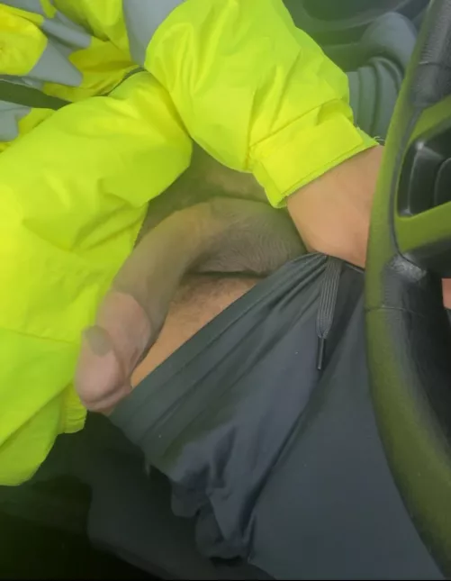 Time to do some construction on them guts