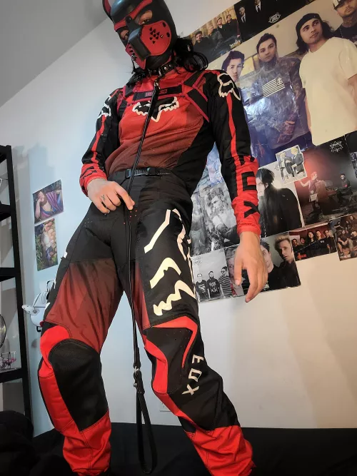 Would you take a good boy on a walk?