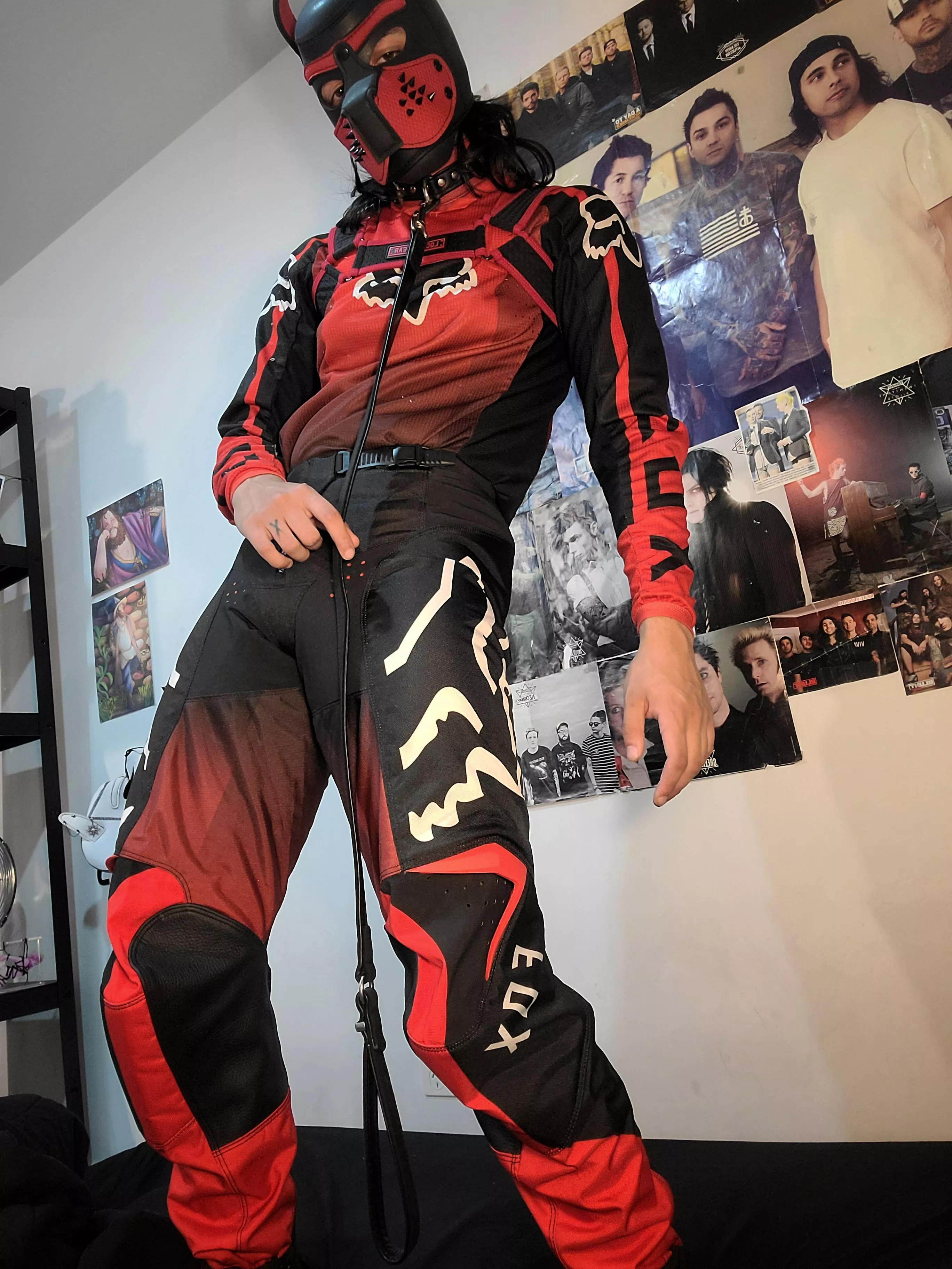 Would you take a good boy on a walk?