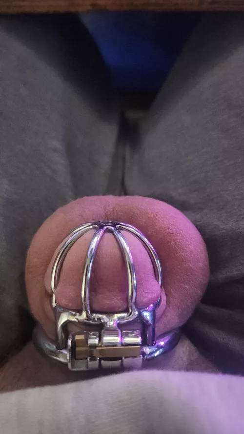 Caged since start of the year. Goal is 1 whole year. And it's getting tough.