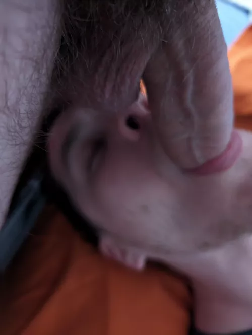 Feeding the Twink nextdoor 