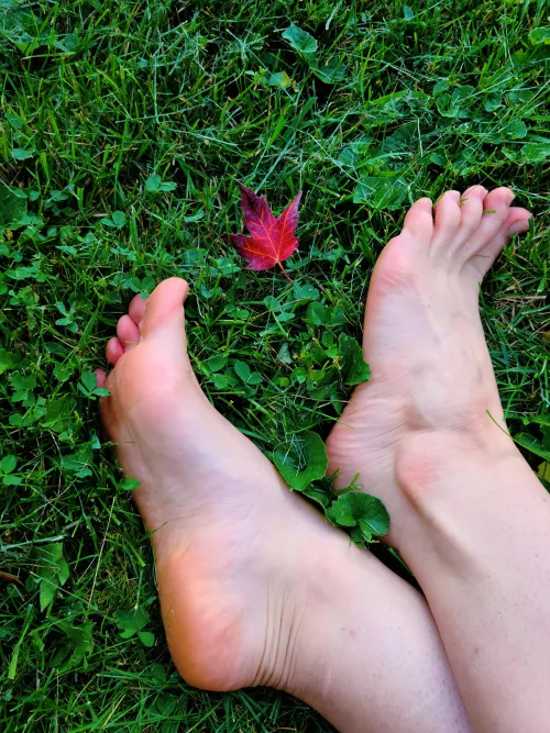 Feet in the grass