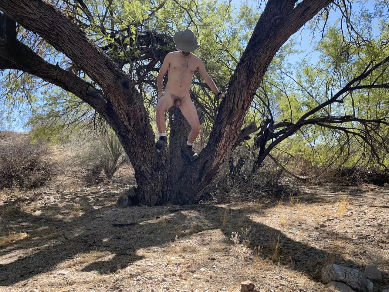 🌳 Happy Tree Pose Tuesday 🌳