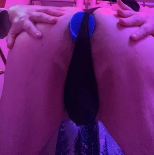 I need to have my anus plugged all day 