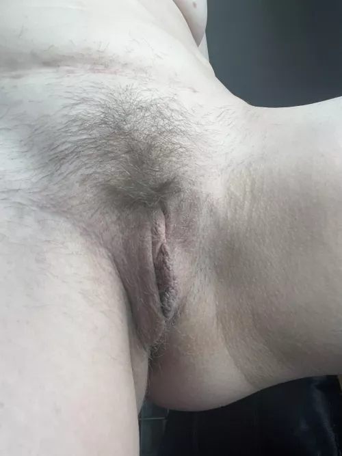 Rate my 41yo pussy - might be time to landscape