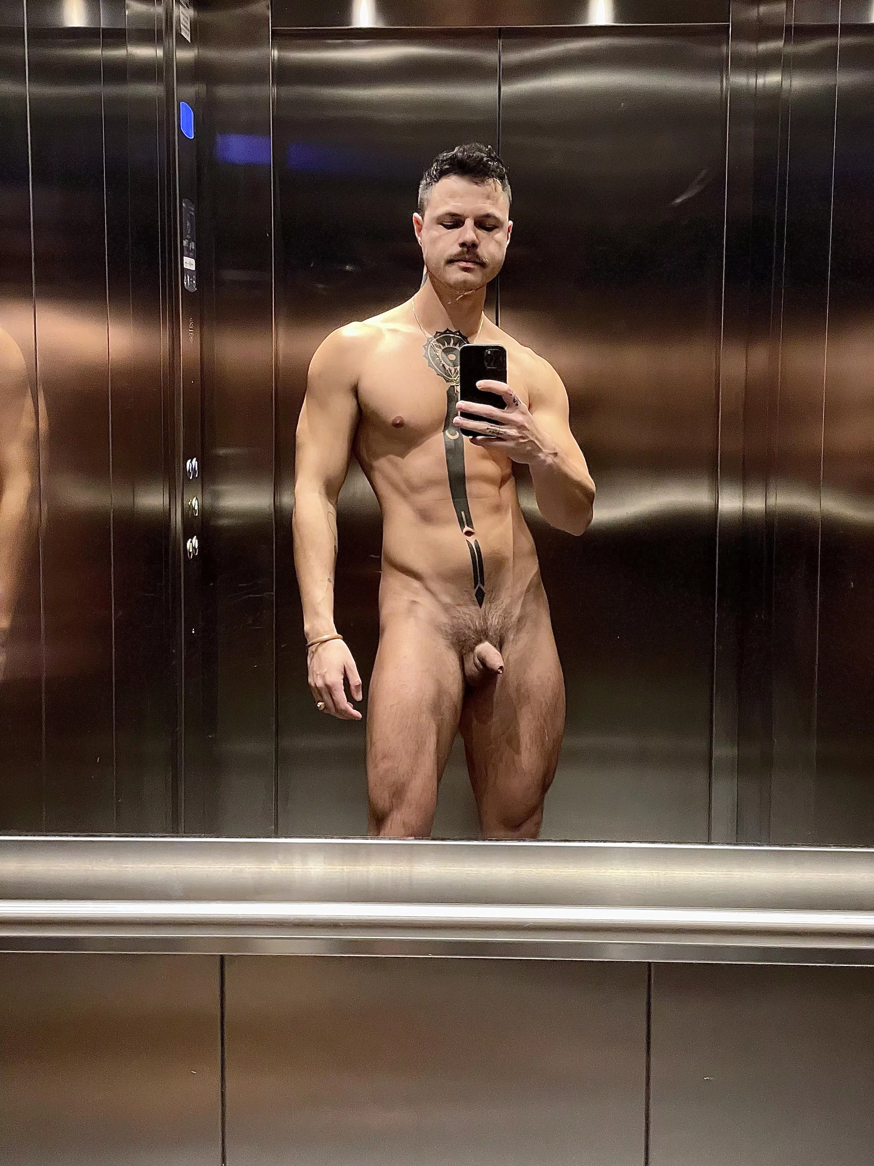 Shaky elevator quickie