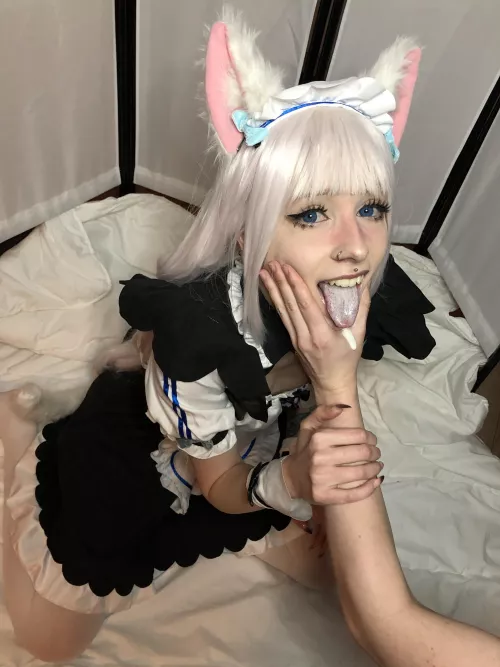 This kitty wants your milk