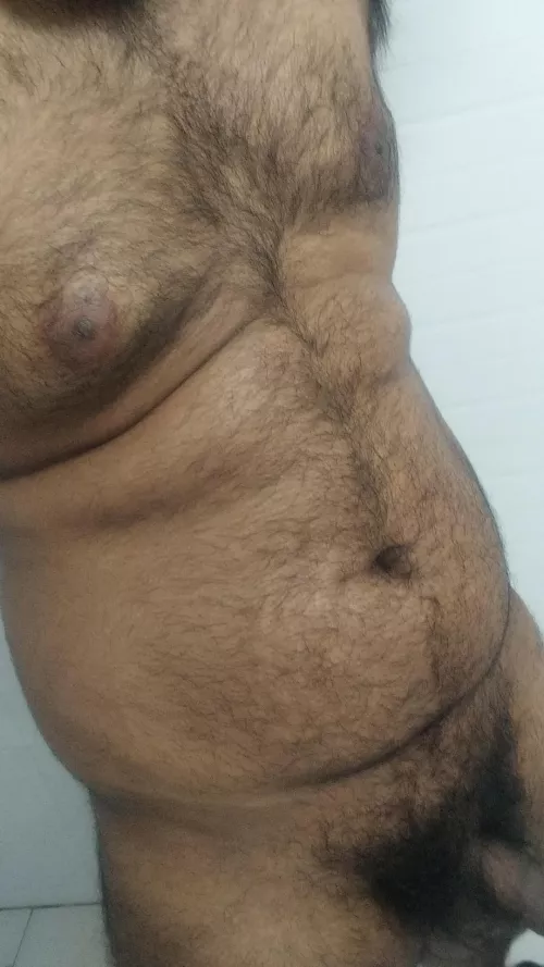 Any love here for indian bear? 