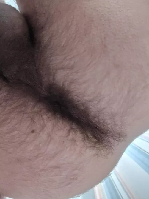 DM me if you'd fuck this hairy hole. Extra interested if you let me lick yours! 