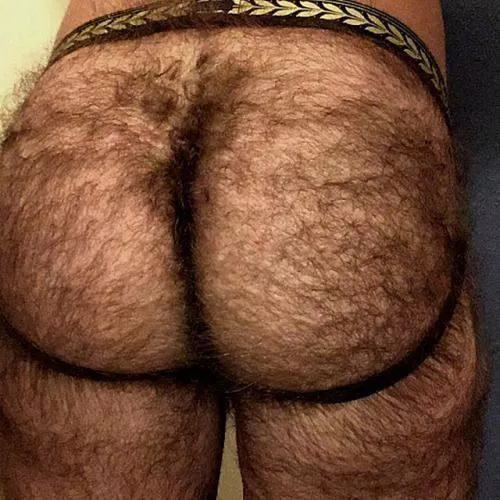 Hairy bear looking to get my ass destroyed. 
