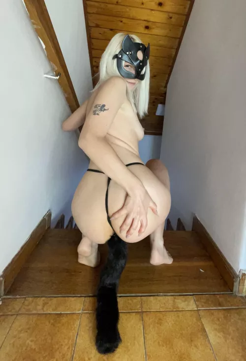 I appoint you as the guardian of tigresses