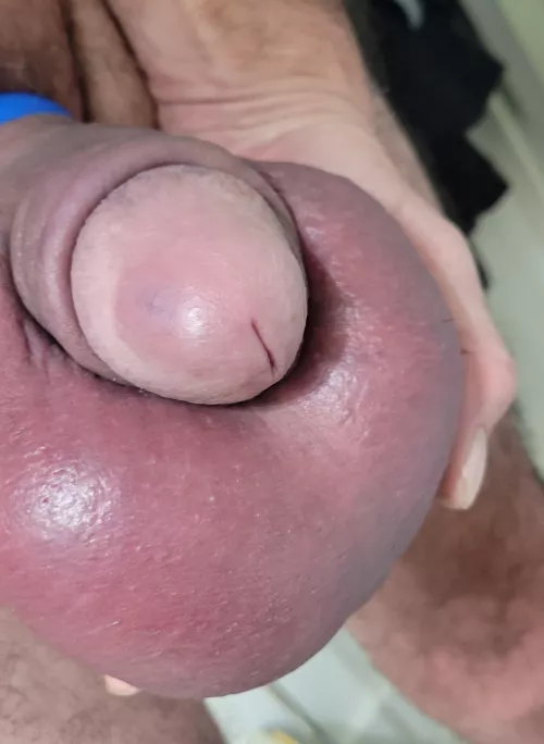 My pumped cock and balls.