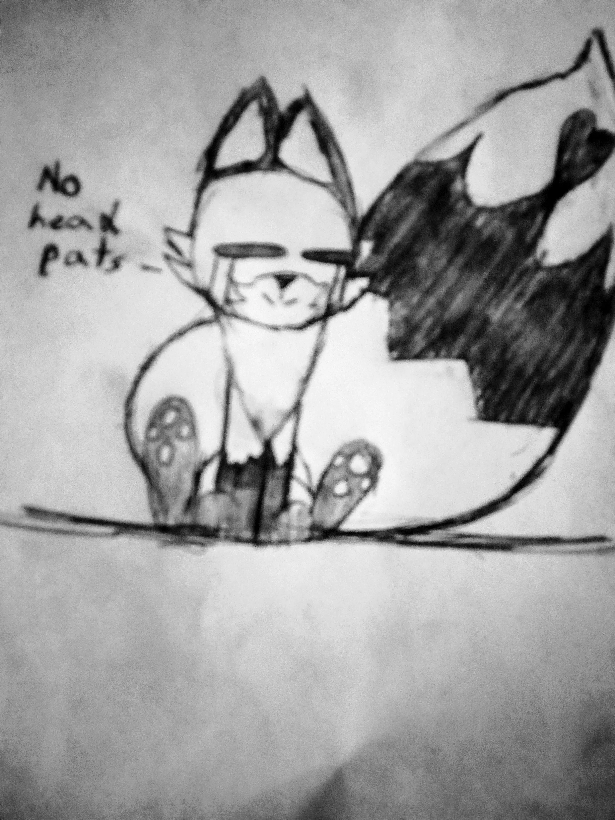 NO HEAD PATS 😭