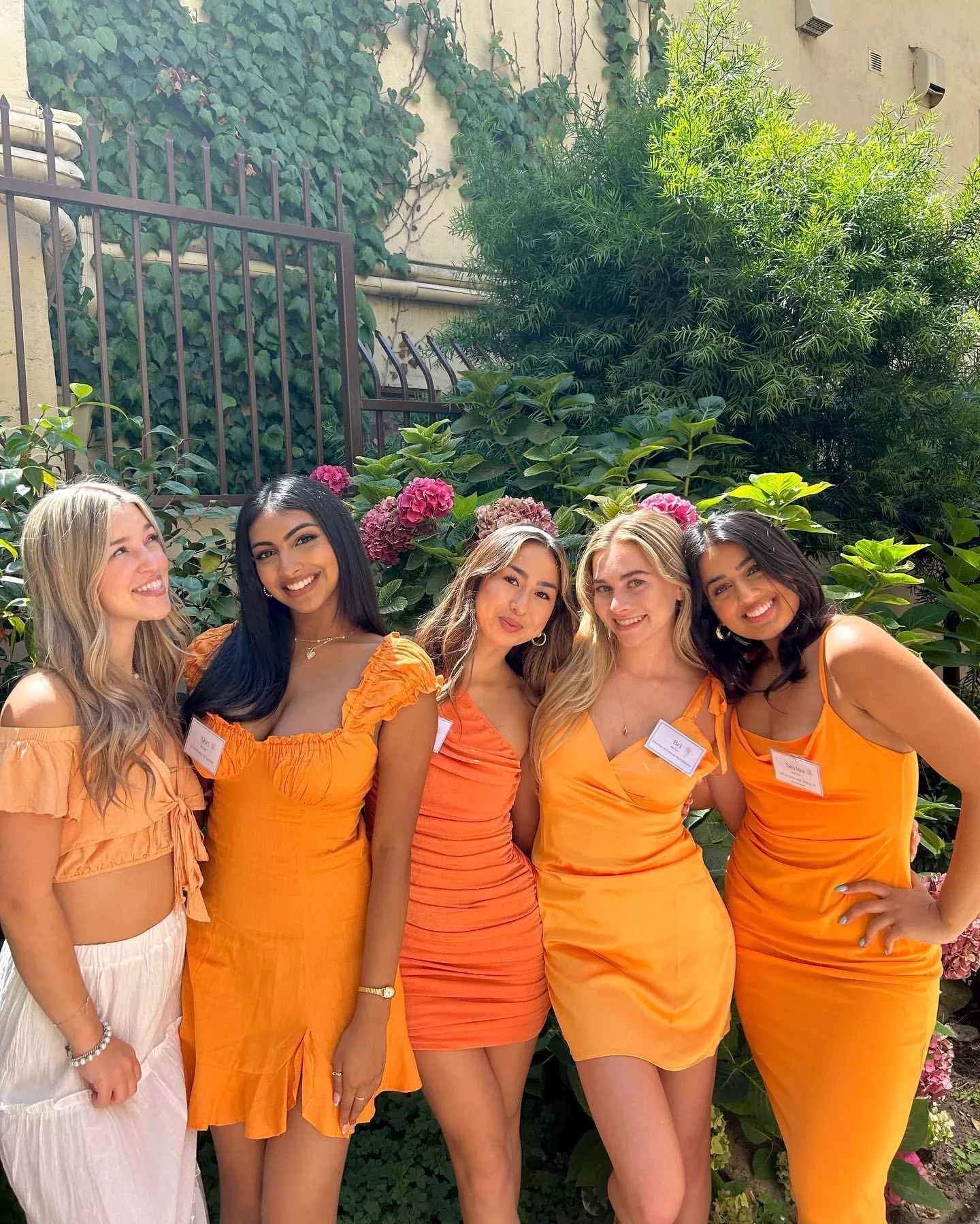 Orange You Glad You Get to Pick One?