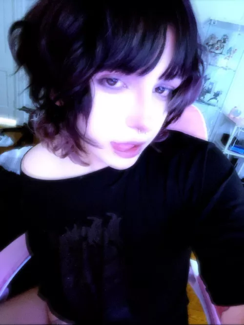 professional e-kitten at your service 