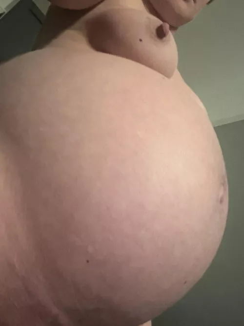 Can you get any bigger? At 26 weeks pregnant