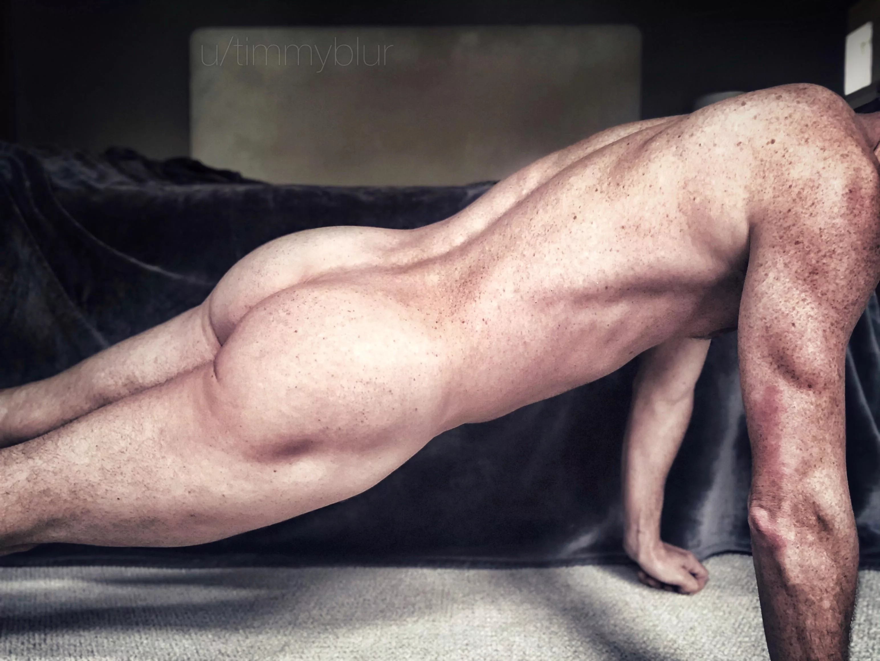 Front plank, butt with a twist.