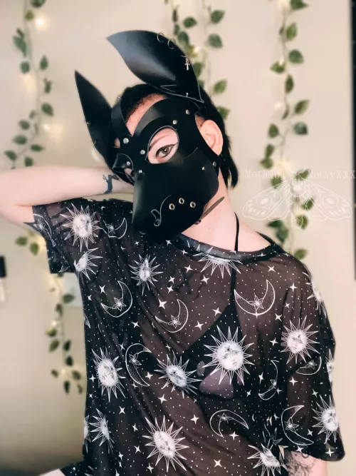 Happy Thursday, arf! 