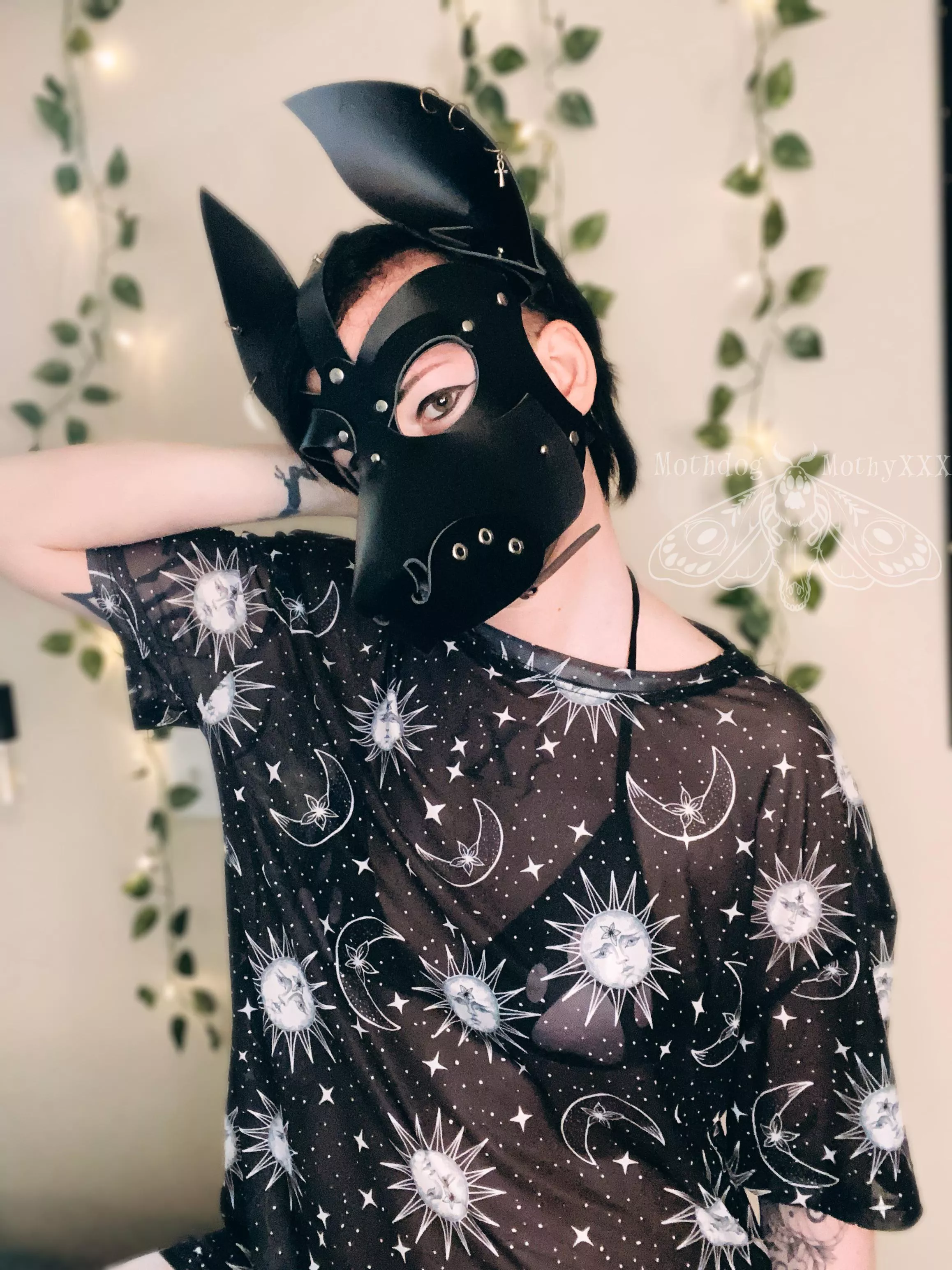 Happy Thursday, arf! 