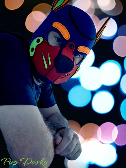 Have a great day Puppies 🐶 