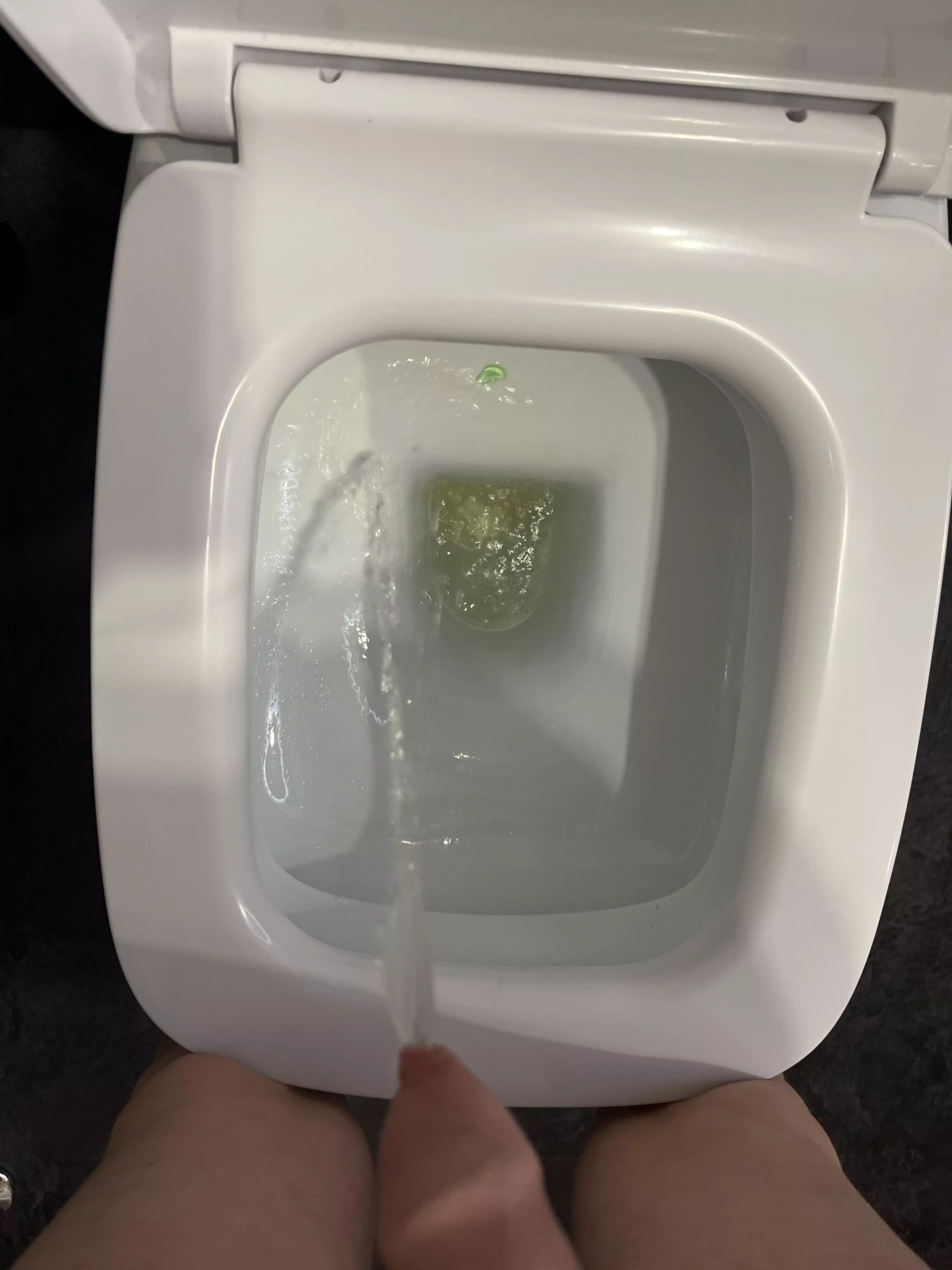 held this one in all day!