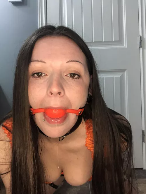 Just a simple picture of a gagged fuck toy