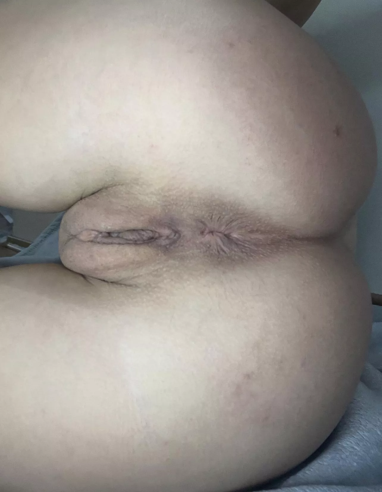 sit on your dick or your face?