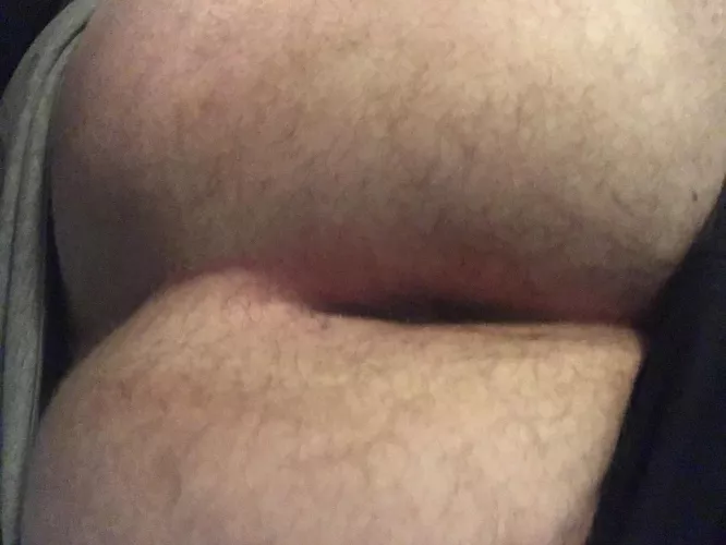 Would you breed me? 🥺