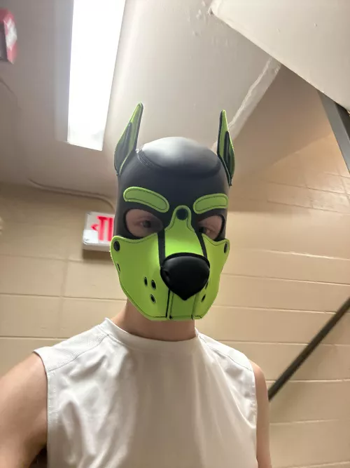 Being sneaky around campus 👟