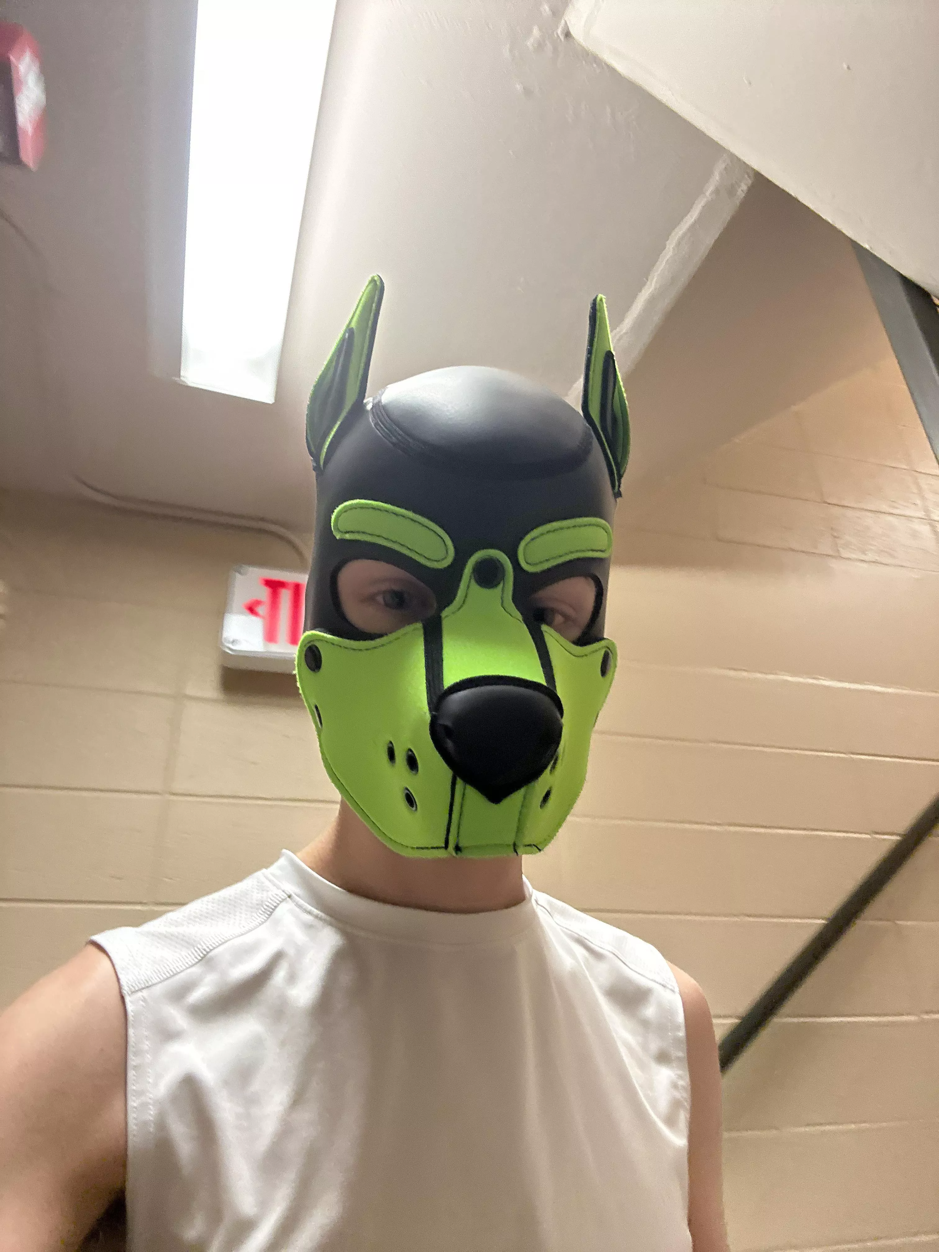 Being sneaky around campus 👟