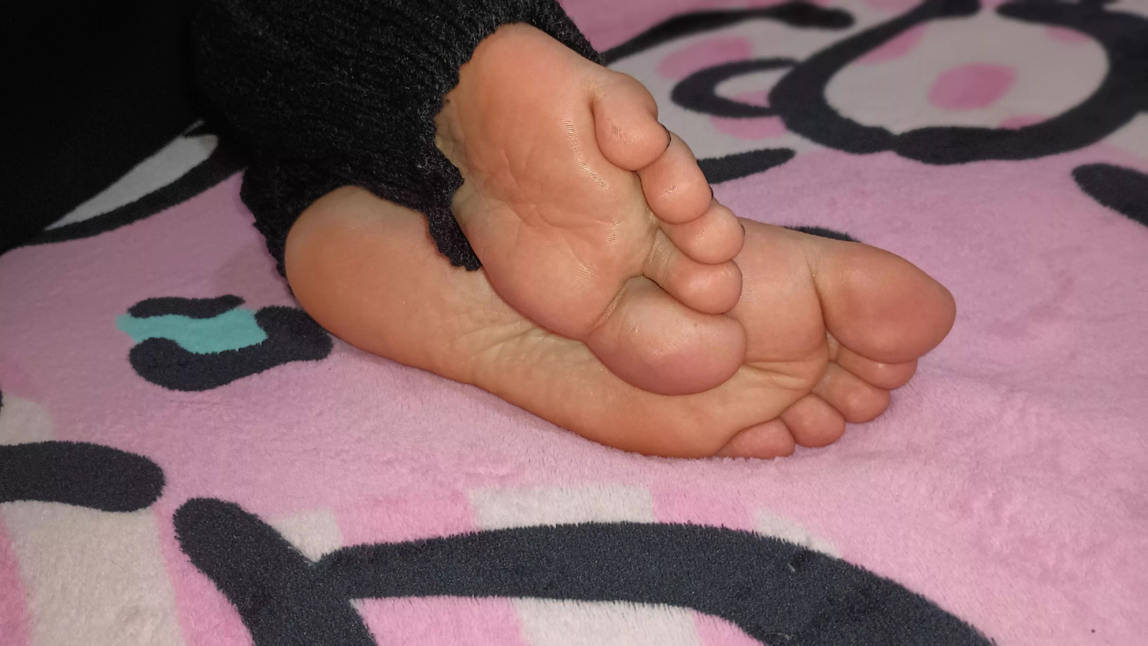 😌🩷cute little paws