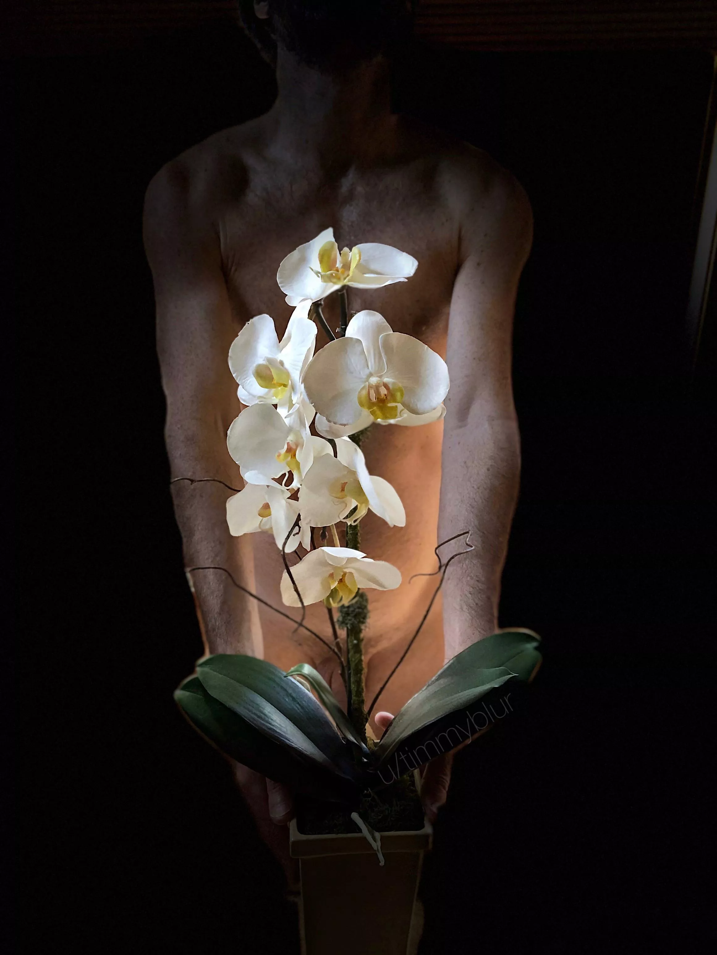 Happy International Women’s Day to all the sexy ladies of ONMWW. 😊