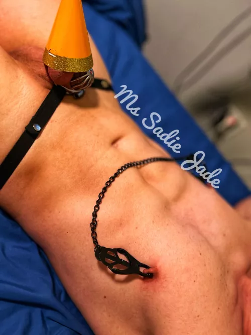 Party hat for my Toy’s birthday 