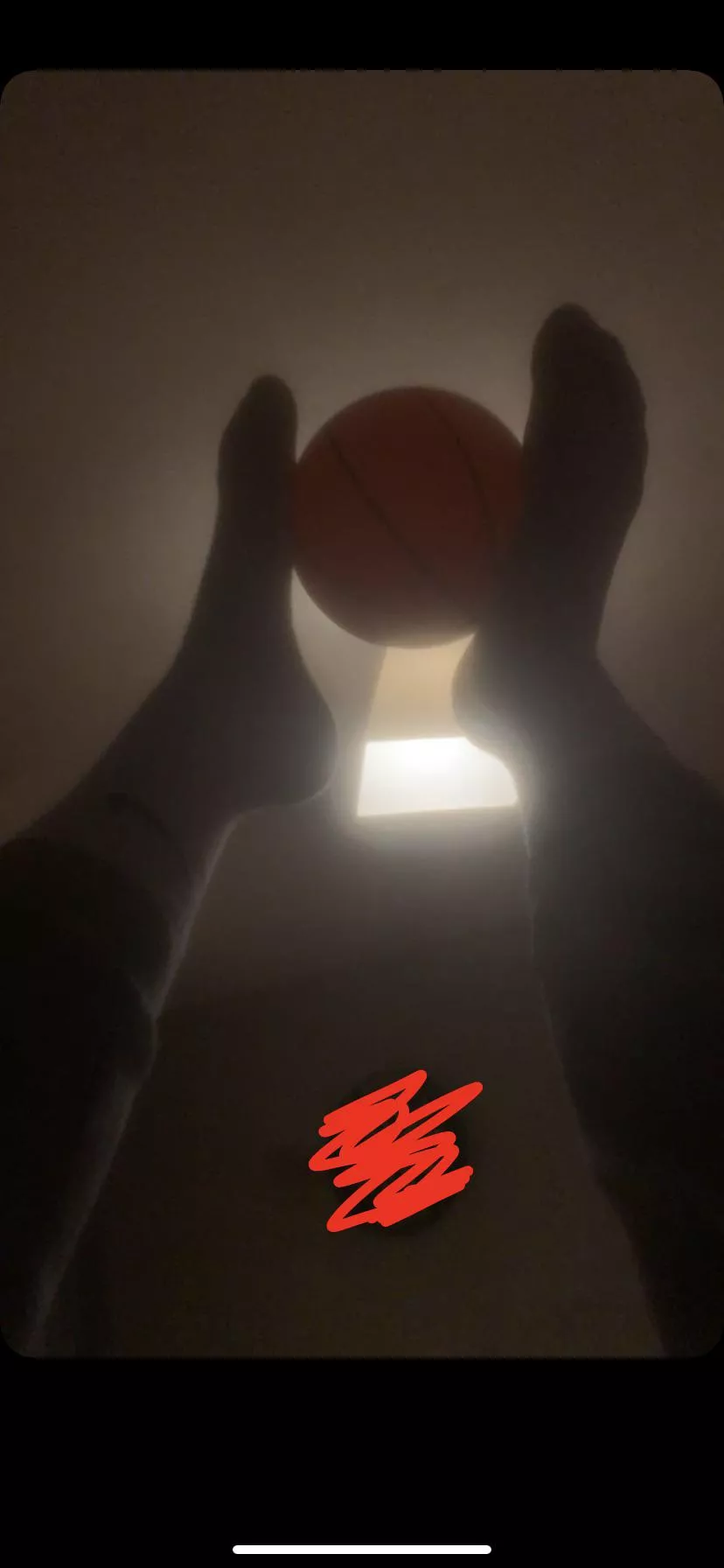 What do u wanna see next