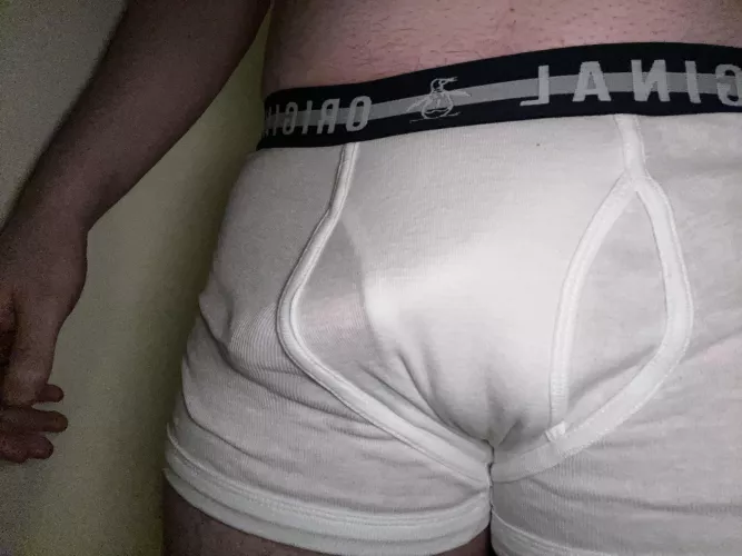 White boxers