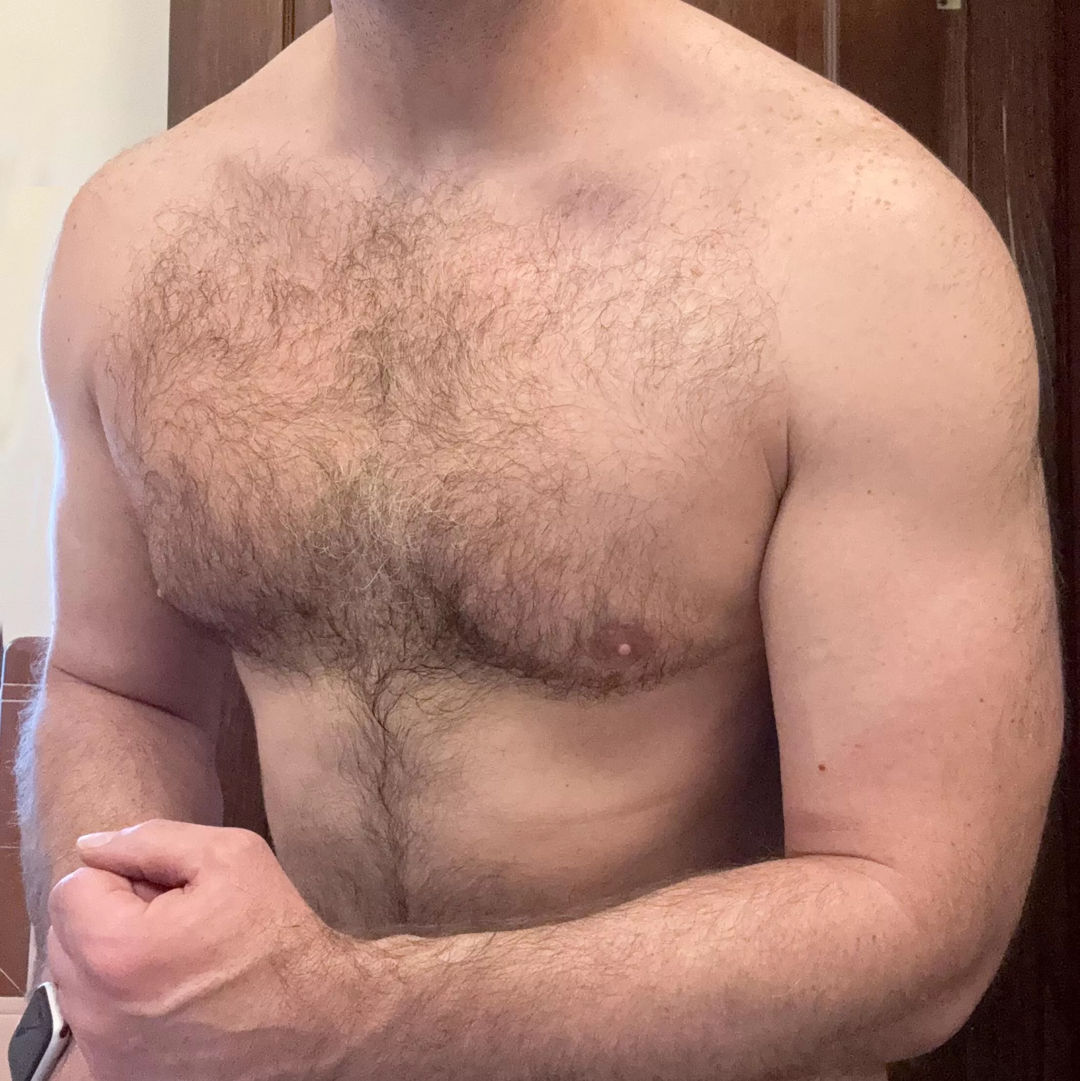 (41) Otter or Bear?