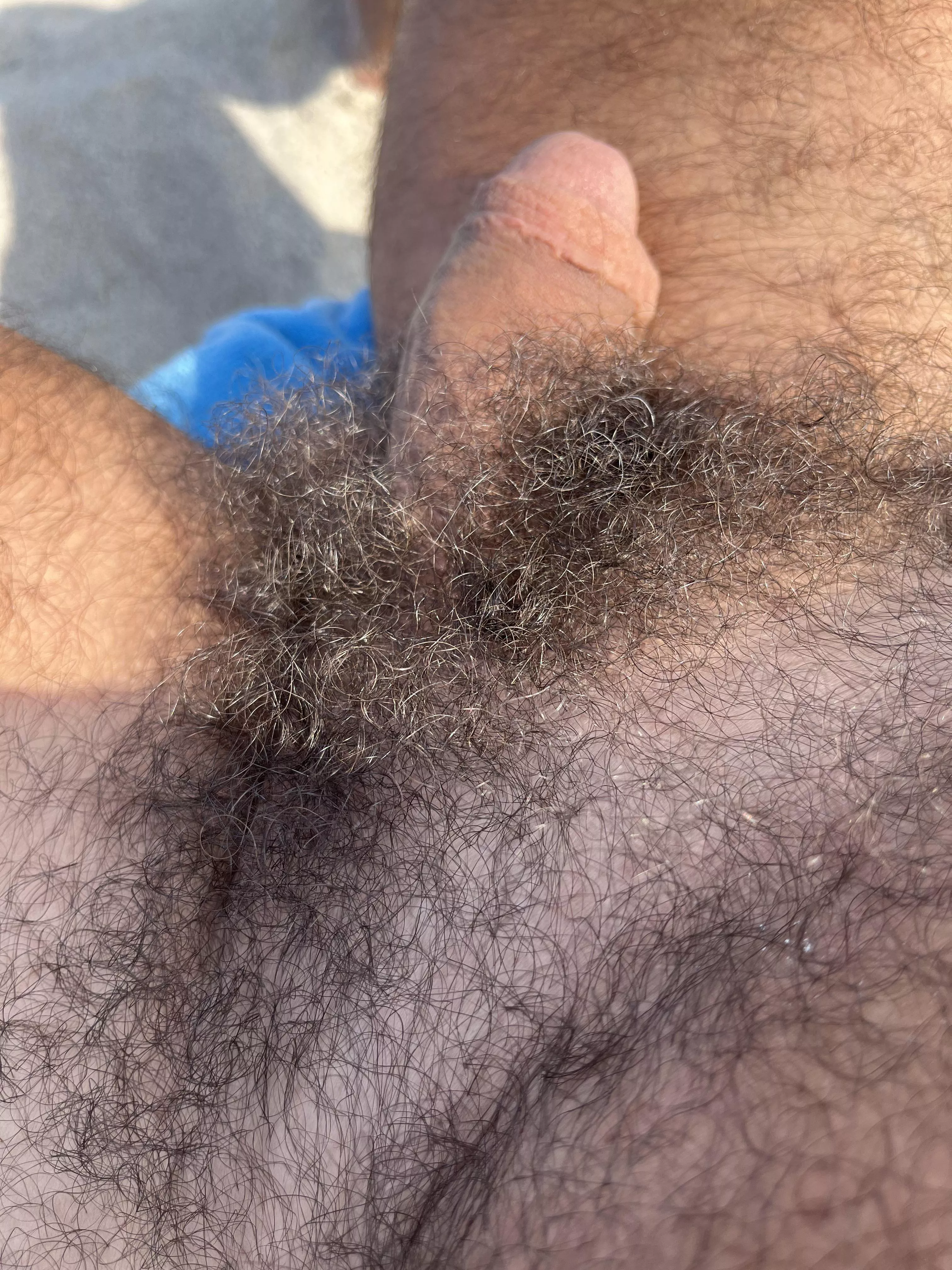 At Haulover nude beach today