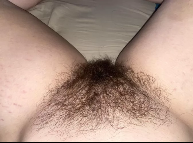 Does my hairy pussy belong on your cock?