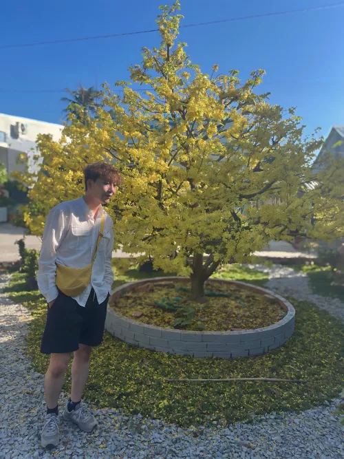 How long does it take for Lunar New Year to approach again? Miss the holiday. 