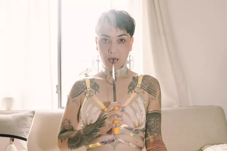 on the tip of my tongue 