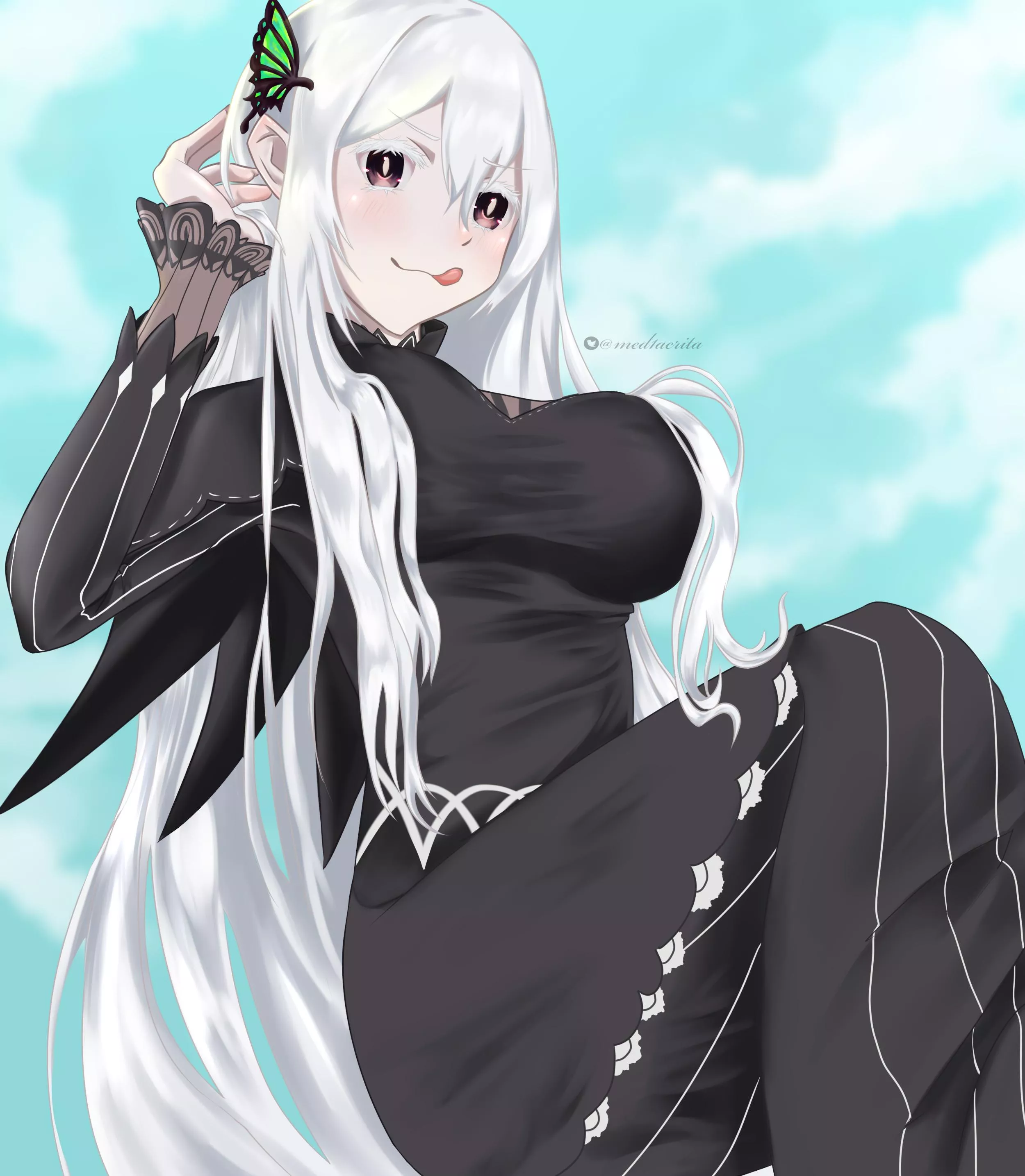 playful Echidna by me