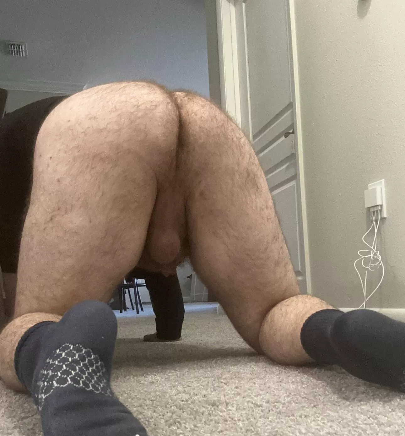 Ready for a Saturday night breeding