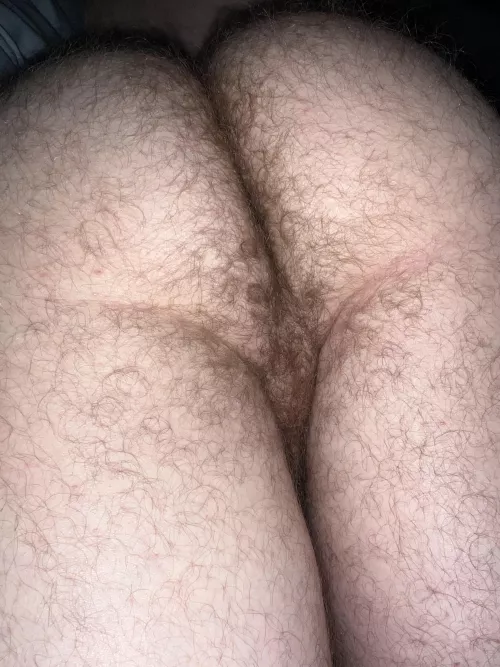 Run your nose thru my hairy ass crack