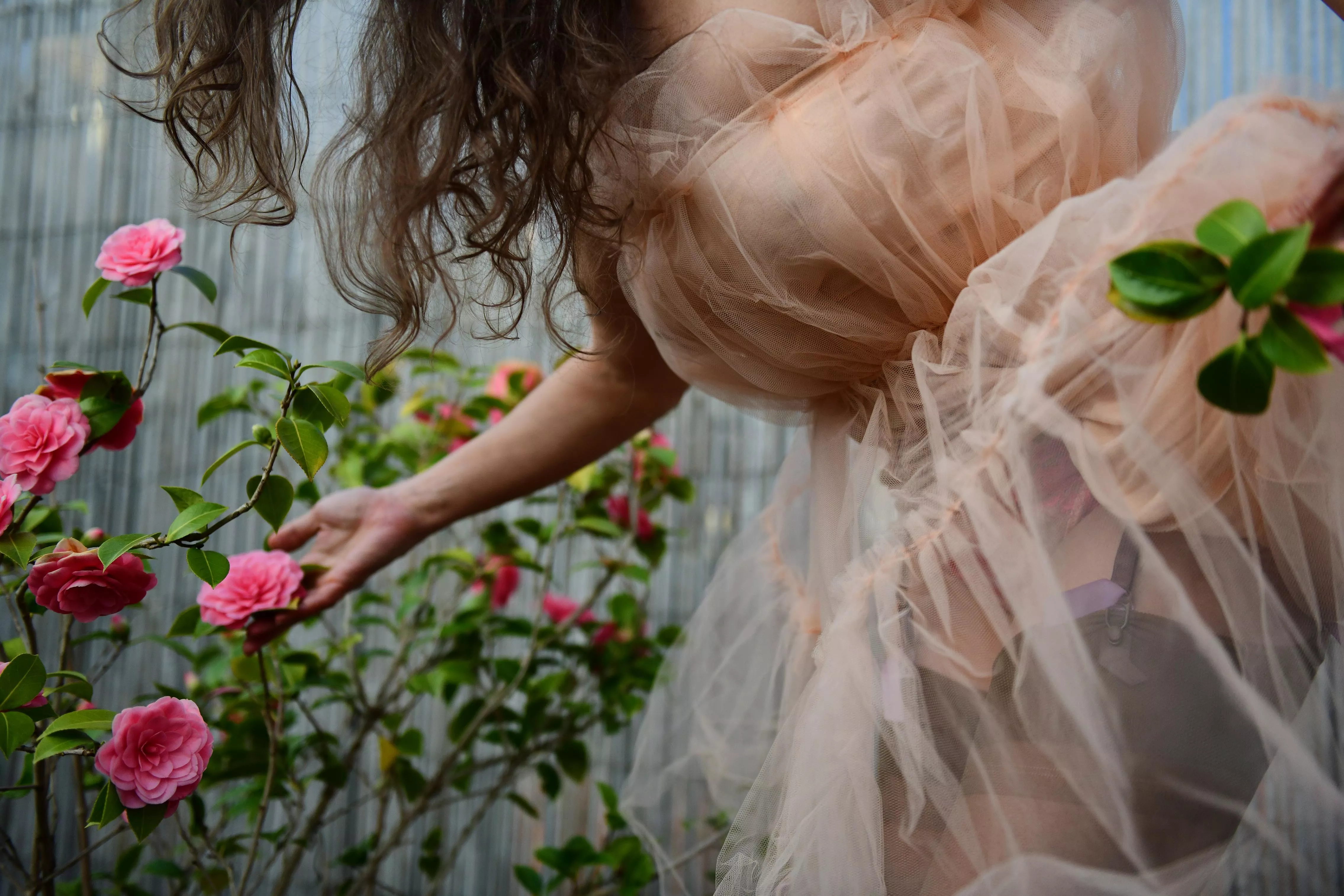 spring is in the air OC