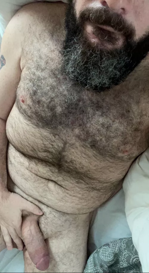 Taking volunteers to snuggle